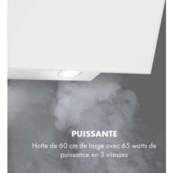 Laurel 60 Hotte Murale Aspirante 60cm 350 M³/h Classe B - Blanche -VIDAXL || Bosch || Whirlpool Soldes 22845284 3