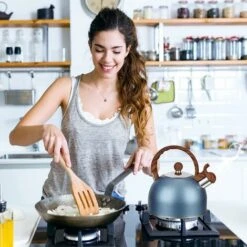 Bouilloire Sifflante En Acier Inoxydable, Bouilloire De Camping Légère, Bouilloire Avec Manche En Bois, 2,5 L, Bleu -VIDAXL || Bosch || Whirlpool Soldes 74957339 4