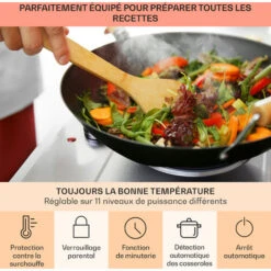 Plaque De Cuisson Double - Klarstein Ramsey - 2400w - 11 Niveaux - Vitrocéramique - Argent -VIDAXL || Bosch || Whirlpool Soldes 88266907 5