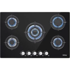 Plaque à Gaz 5 Feux, Plaque Gaz, Plaque De Cuisson à Gaz, Gaz Naturel/Propane/Butane (5 Brûleurs)