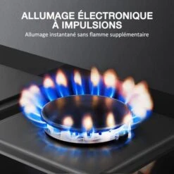 Plaque De Cuisson Gaz 2 Feux, Plaque Gaz 2 Feuxs, Table De Cuisson à Gaz Encastrable, Gaz Ville Et Bouteille (2 Foyers) -VIDAXL || Bosch || Whirlpool Soldes 91624295 5