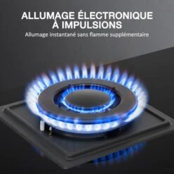 Plaque De Cuisson à Gaz 3 Feux, Plaque Gaz 3 Feuxs, Table De Cuisson à Gaz Encastrable, Gaz Ville Et Bouteille (3 Foyers) -VIDAXL || Bosch || Whirlpool Soldes 91624302 5